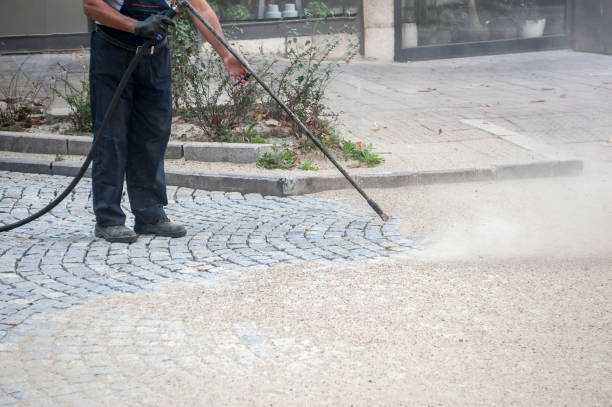 Professional Pressure Washing in Western Springs, IL